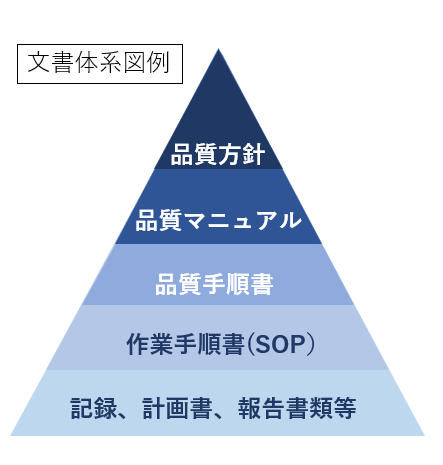 GDP consulting process for medical logistics and GDP Warehouse in accordance with the latest GDP Guidelines. GDP Seminar.